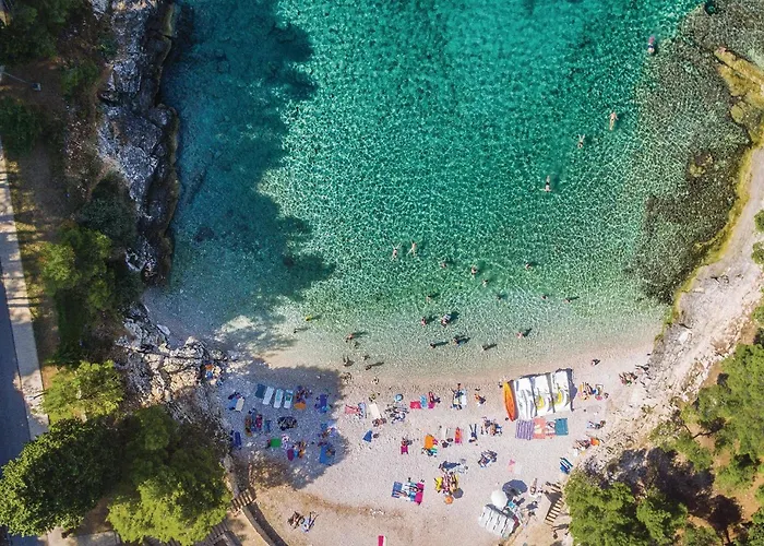 In Σπίτι διακοπών *